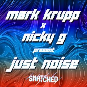 Just Noise (feat. Jaime Arin) (Radio Edit)
