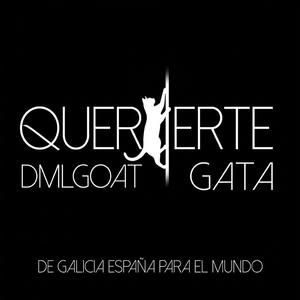 Quererte Gata