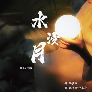 水浸月 (Dj版伴奏)