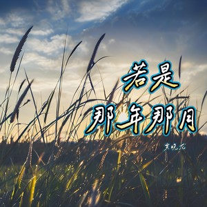 若是那年那月