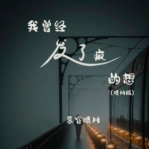 我曾经发了疯的想 (晴川版)