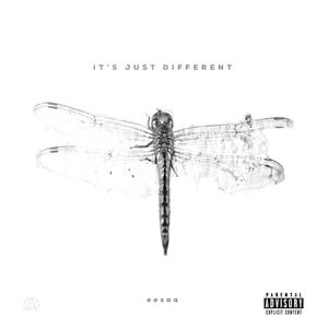 CONSISTENCY (feat. KidParrish) (Explicit)