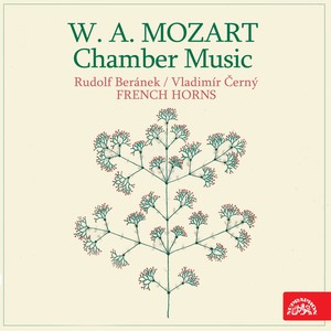 Mozart: Chamber Music