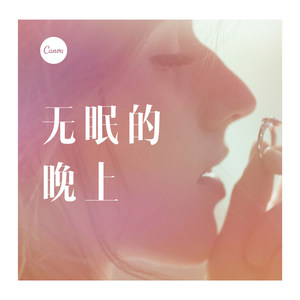 无情人常有 (DJ版)