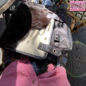 make it home (feat. trix) (Explicit)