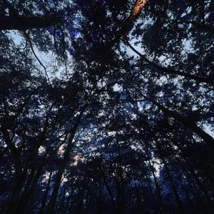 STILL IN LOVE (Explicit)