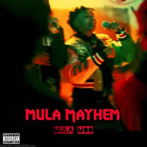 Mula Mayhem (Explicit)