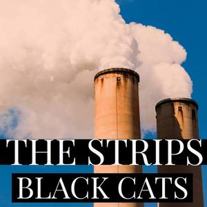 Black Cats