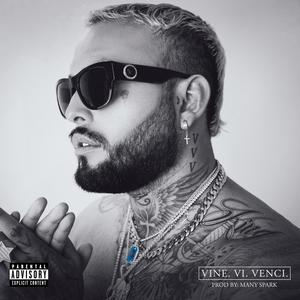 Vine. Vi. Venci. (feat. Many Sparks)