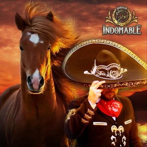 Tema del Mariachi Indomable