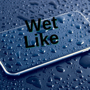 Wet Like (Explicit)