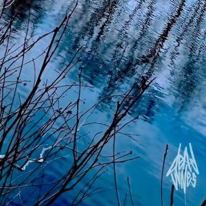 dissection (Explicit)