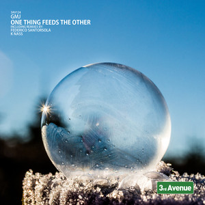 One Thing Feeds the Other (K Nass Remix)