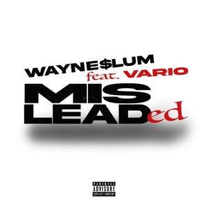 Misleaded (feat. Vario) [Explicit]