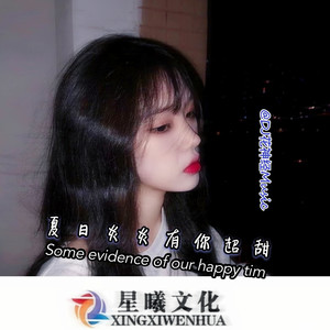 车载专属重低音 (DJ版)