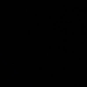 Burna Boy (Explicit)