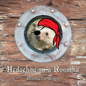 Hedgehog on a Roomba (Plankwalk Remix)