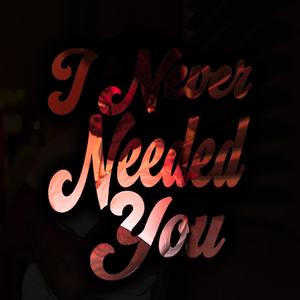 I Never Needed You (Explicit)