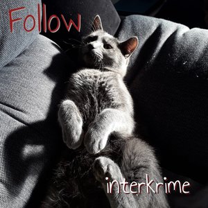 Follow