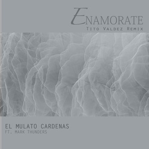 Enamorate (Tito Valdez Remix) [feat. Mark Thunders]