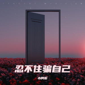 忍不住骗自己 (伴奏)