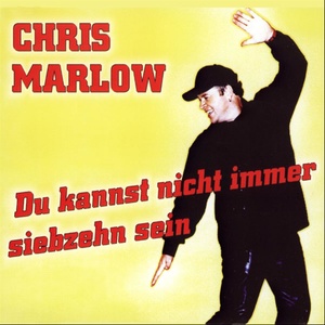 Du kannst nicht immer 17 sein (Party-Maxi-Version)