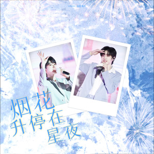 烟花升停在星夜