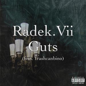 Guts (feat. Trashcanbino) (Explicit)