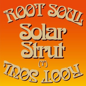 Solar Strut