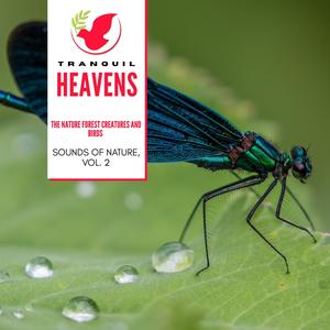 The Nature Forest Creatures and Birds - Sounds of Nature, Vol. 2