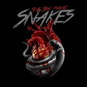 Snakes (feat. 94) [Explicit]