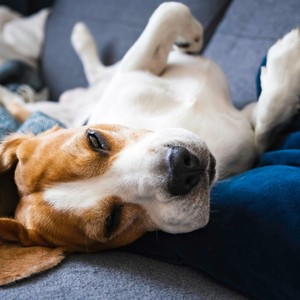 Quiet Beats for Relaxation