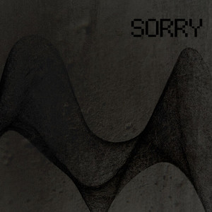 Sorry (Digital Underground)