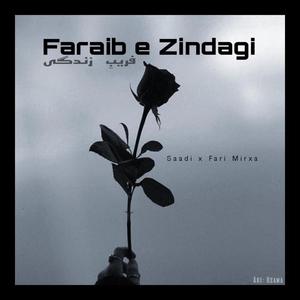 Faraib e Zindagi