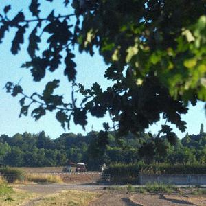 fields (feat. heylog)