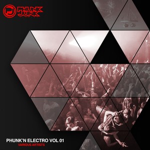 Phunk'n Electro, Vol. 01