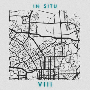 In Situ : VIII