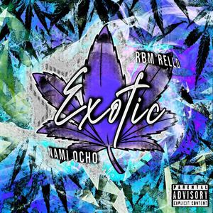 Exotic (feat. Rbm Rello) [Explicit]