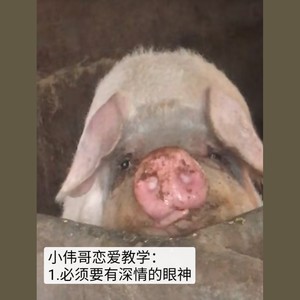 小伟哥教我谈恋爱第二集