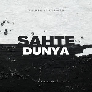 Sahte Dünya (feat. Maestro & Ashoo) (Explicit)
