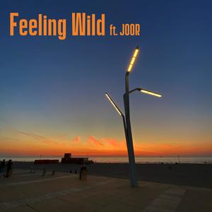 Feeling Wild (feat. JOOR)