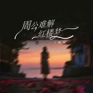 周公难解红楼梦 (释怀版)