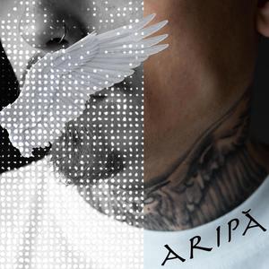 ARIPA (Explicit)