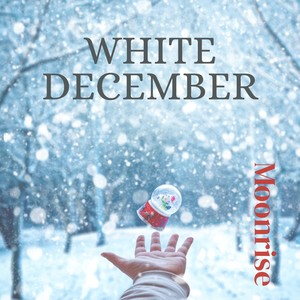 WHITE DECEMBER