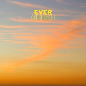 Evergreen (feat. Schwoodley)