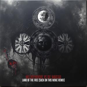 Land of the Free (suck on this woke remix - friendly edit)