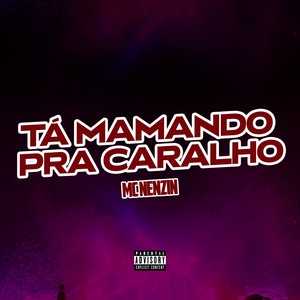 Tá Mamando Pra Caralho (Explicit)