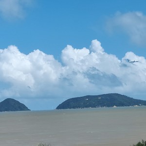 画风