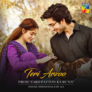 Teri Arzoo (From "Zard Patton Ka Bunn")