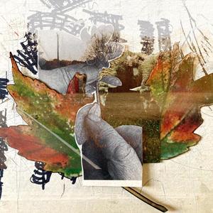 Company of Healing (Rework)